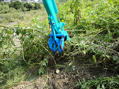 草抜き、特にすすきの株抜きが得意